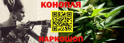 молекула духа Будённовск