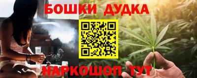 молекула духа Будённовск
