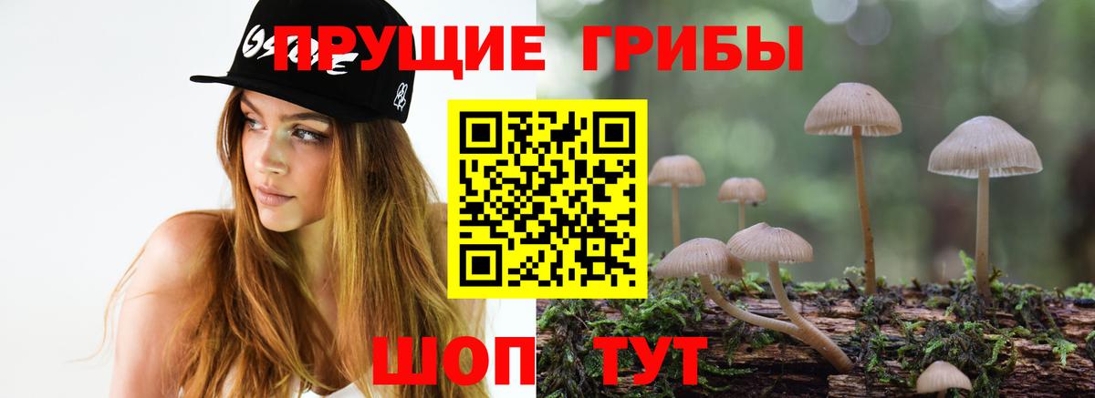 Прокопьевск  Псилоцибиновые грибы Psilocybe  Вход с VPN 